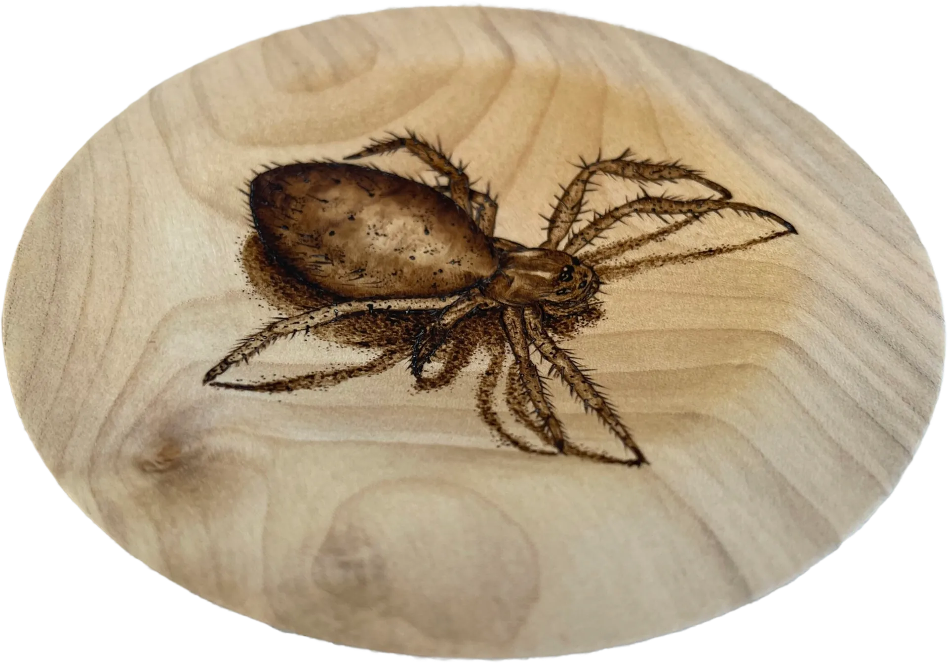 a medium sized bowl with a spider drawn in the centre using pyrography to create a 3d effect