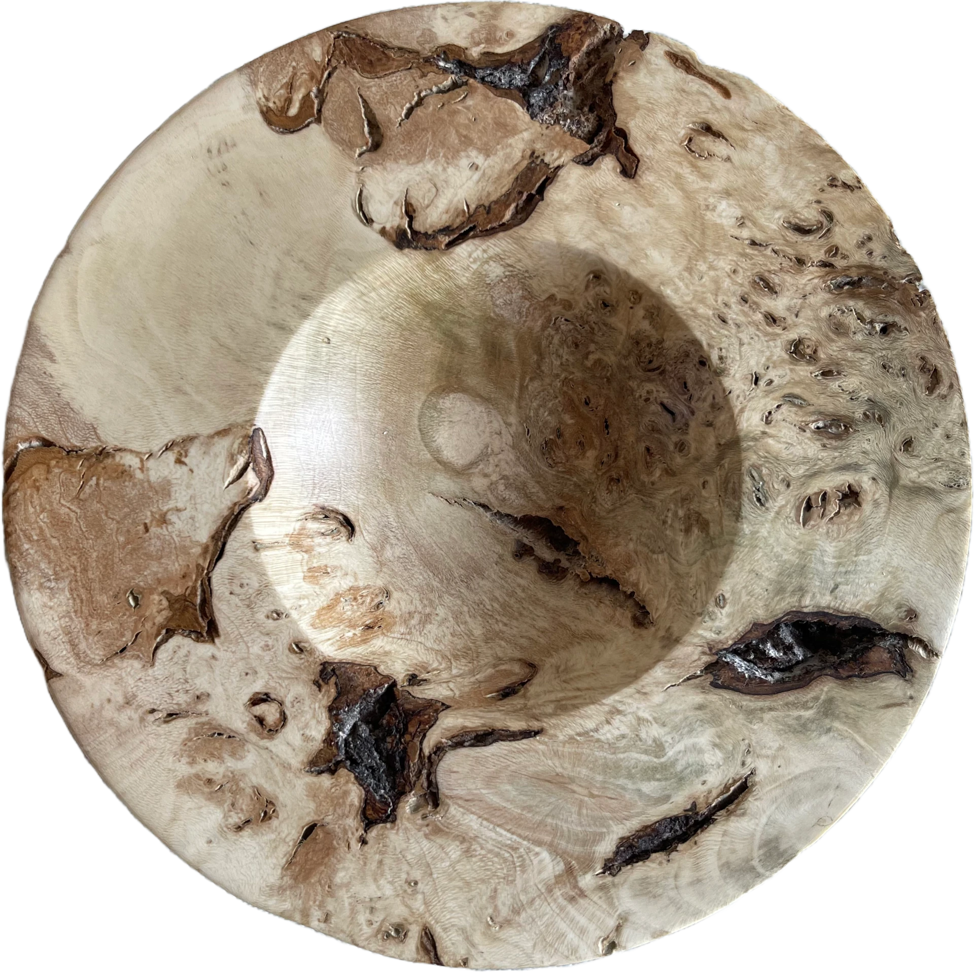 A mediums sized burr bowl with a deformed appearance to mimic erosion