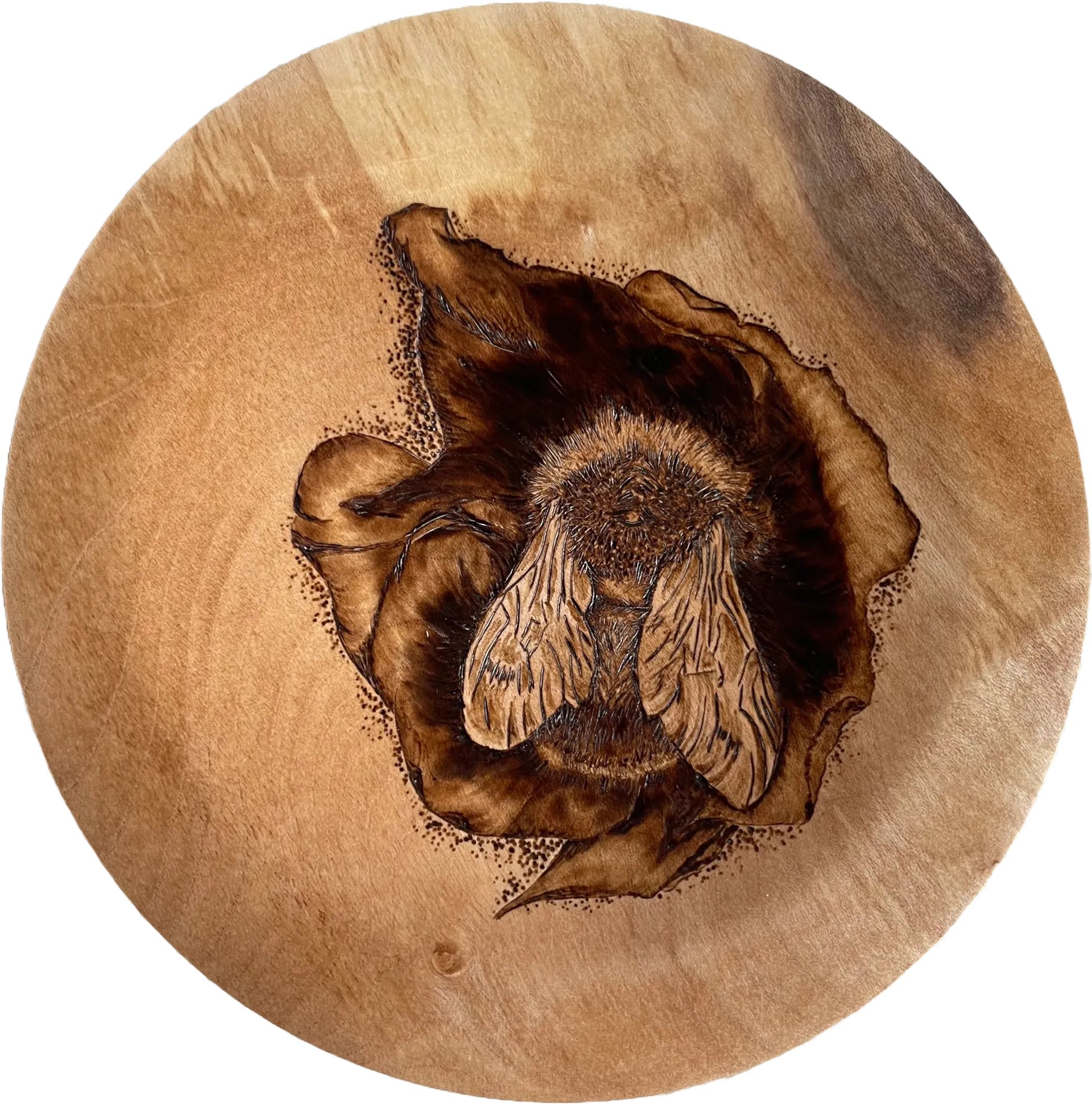 a small bowl with a sleeping bee in a flower